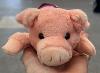 Pocket Pets - Pig
