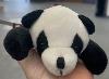 Pocket Pets- Panda