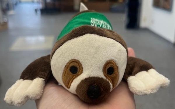 Pocket Pets- Sloth