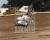 Jeff Swindell, #80, Fremont, 1984, HZ/NSCHoF&M