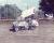 Herb Buck, #6, Fremont, 09-19-82, HZ/NSCHoF&M