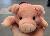Pocket Pets - Pig