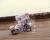 Tim Green, #78, Eldora, 04-14-85, HZ/NSCHoF&M